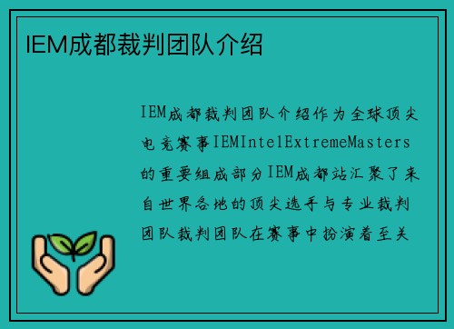 IEM成都裁判团队介绍